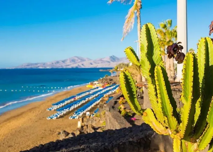 فيلة Alexsandra *